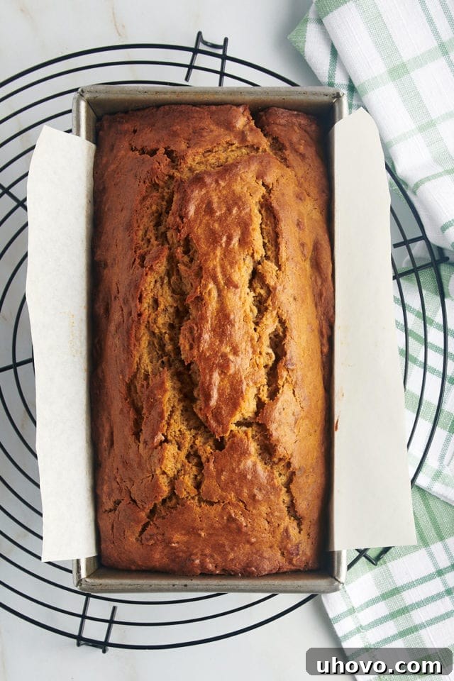 Overhead view of the beautifully golden-brown peanut butter banana bread, freshly baked and still in the loaf pan.
