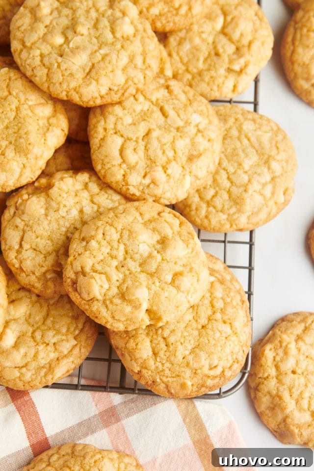 Warm white chocolate macadamia nut cookies cooling on a wire rack, allowing air circulation for a perfectly set texture.