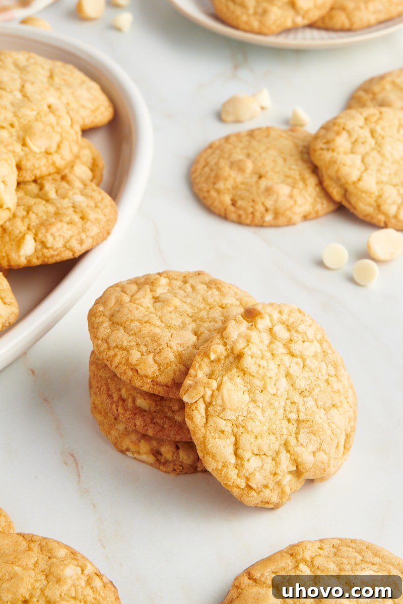 An inviting arrangement of white chocolate macadamia nut cookies, with a stack in the foreground and more cookies artfully scattered around, emphasizing their abundance and deliciousness.