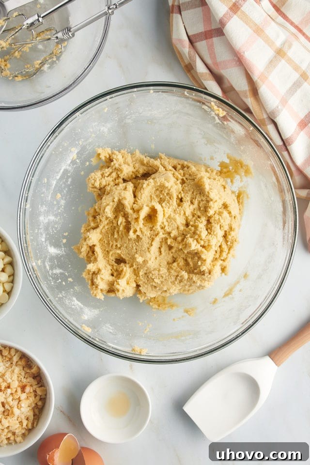 Overhead view of freshly mixed cookie dough in a bowl, before the addition of white chocolate chips and macadamia nuts.