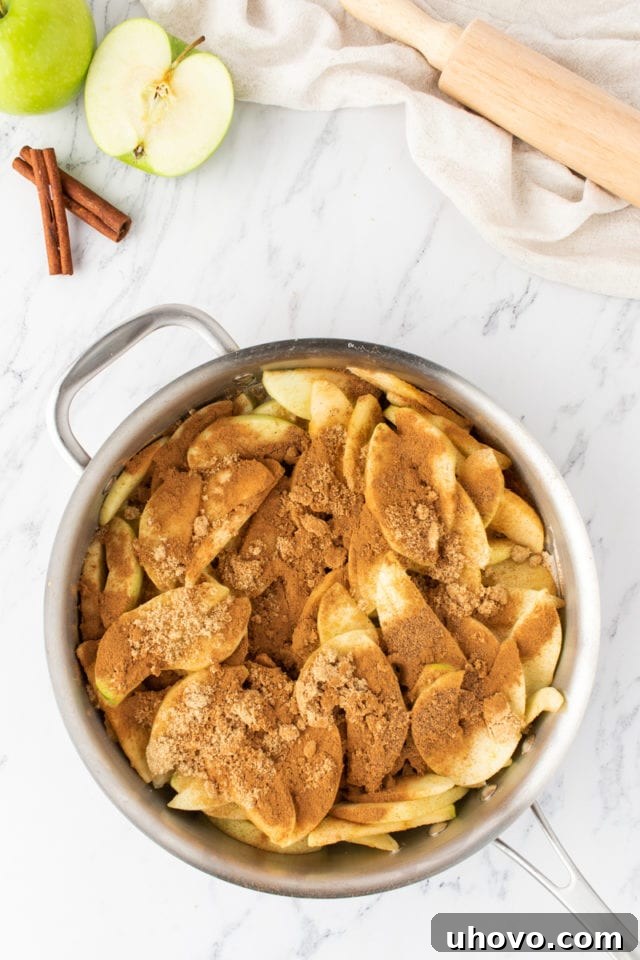 Overhead view of thinly sliced apples, brown sugar, cinnamon, and nutmeg waiting in a saucepan, ready to be cooked into a delicious filling.
