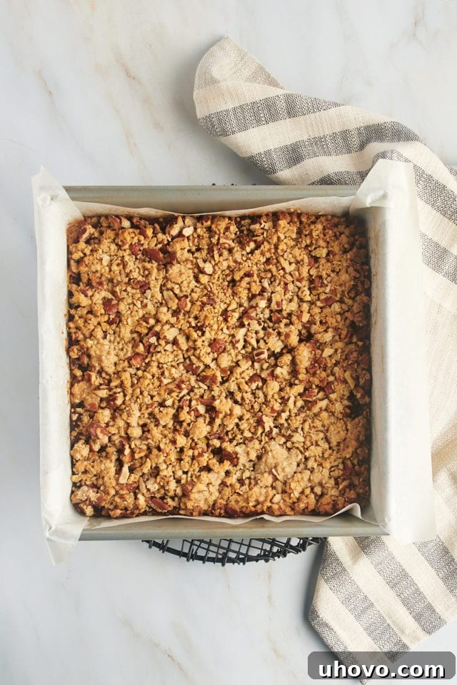 Overhead view of freshly baked date bars cooling in the pan on a wire rack.