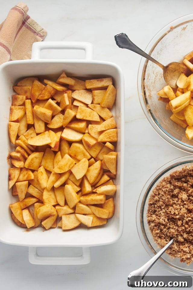 Overhead view of the first layer of apples spread evenly in a baking dish.