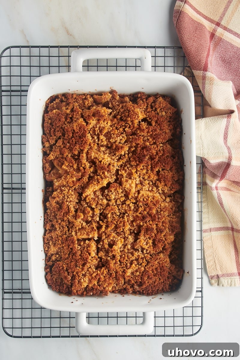 Overhead view of baked Apple Brown Betty in a baking dish, cooling on a wire rack.