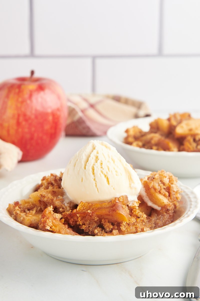 Bowls of Apple Brown Betty, one with vanilla ice cream, and the baking dish in the background.