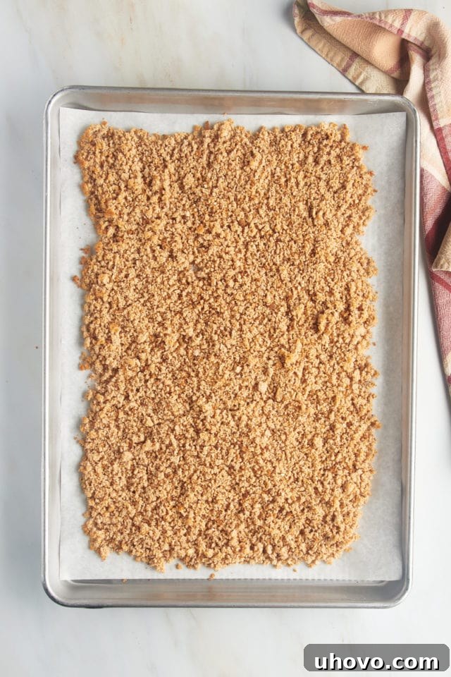 Overhead view of breadcrumbs spread on a parchment-lined baking sheet for toasting.