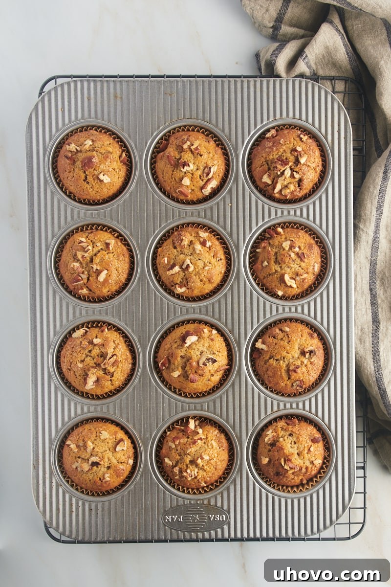 overhead view of freshly baked date nut muffins in a muffin pan