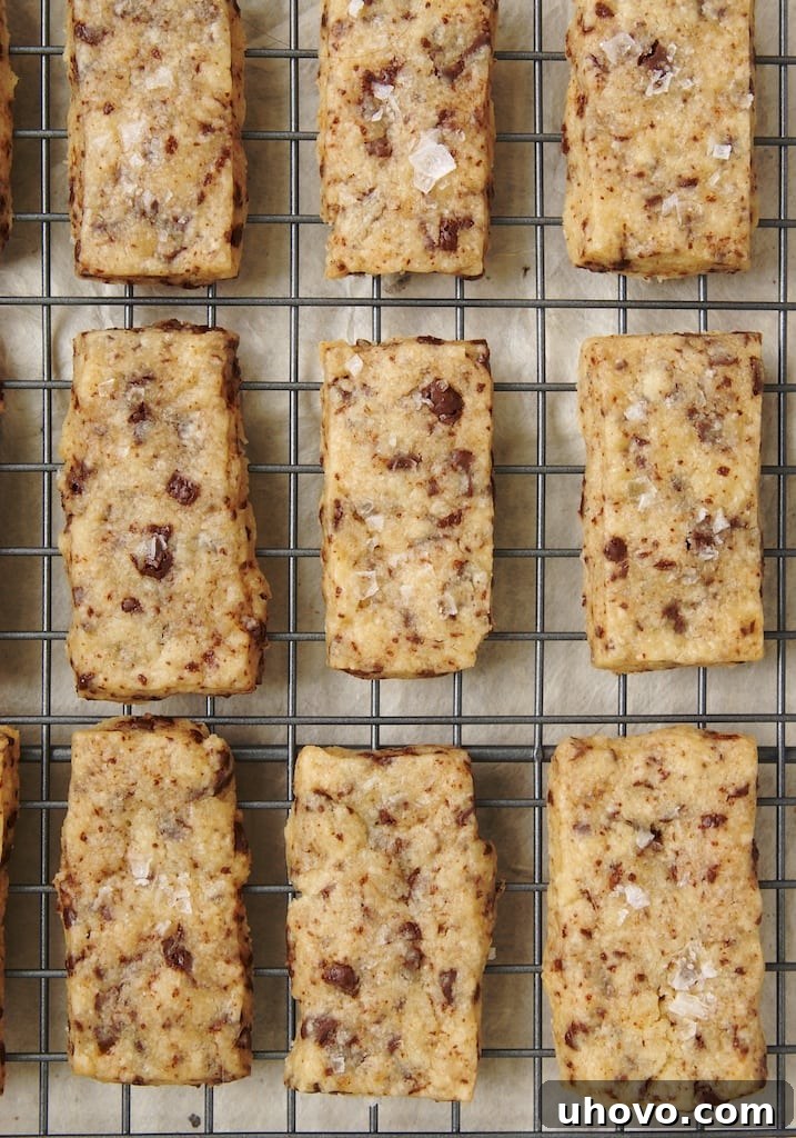 Chocolate chunk shortbread cookies with sea salt, artfully arranged on a cooling rack.