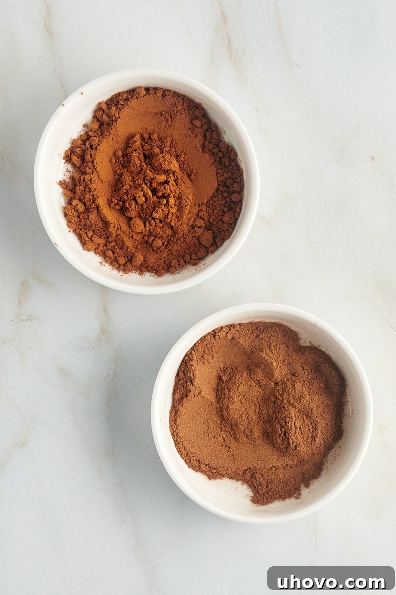 overhead view of ground cinnamon in two shallow white bowls