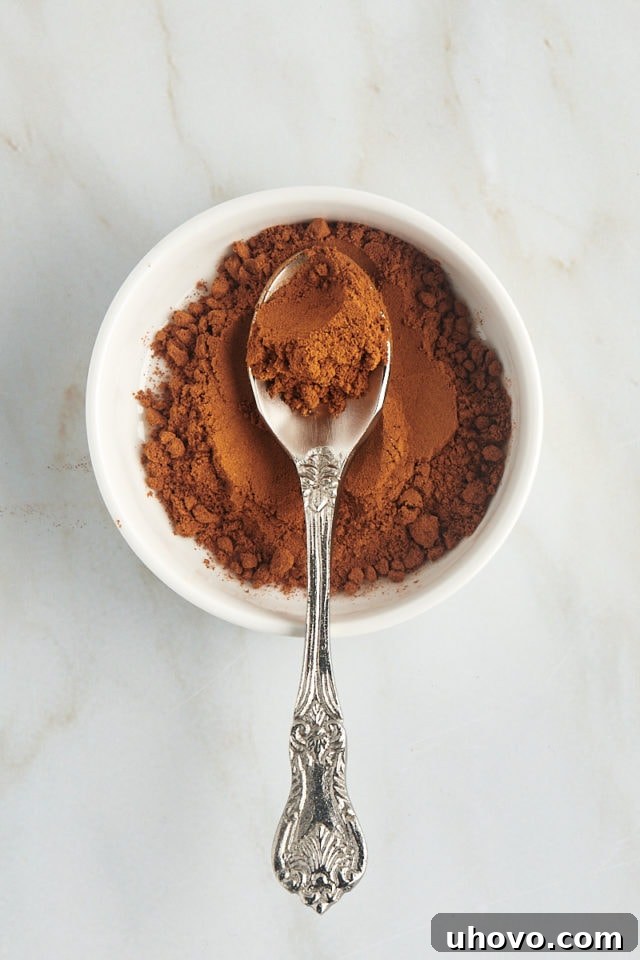 overhead view of a spoonful of cassia cinnamon in a shallow white bowl with more cinnamon in it