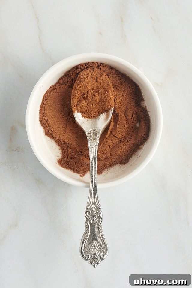 overhead view of a spoonful of Ceylon cinnamon in a shallow white bowl filled with more cinnamon