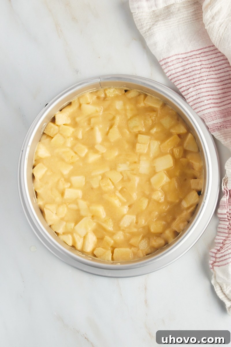 An inviting overhead view of the French apple cake batter meticulously spread in an 8-inch springform pan, brimming with apples and ready to be baked to golden perfection.
