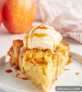 A beautifully presented French Apple Cake, freshly baked with a golden crust, ready to be served and enjoyed, embodying rustic elegance.