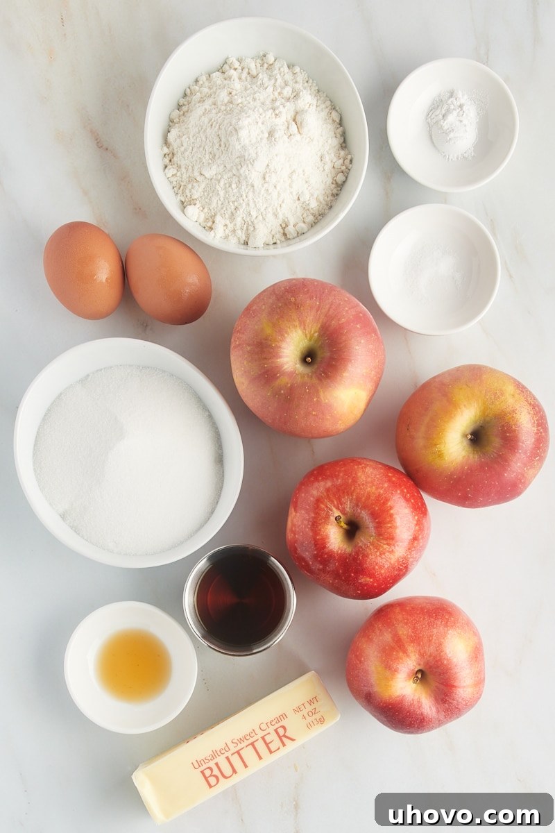 An overhead shot showcasing all the essential ingredients meticulously laid out for baking a classic French apple cake, emphasizing preparation and fresh produce.