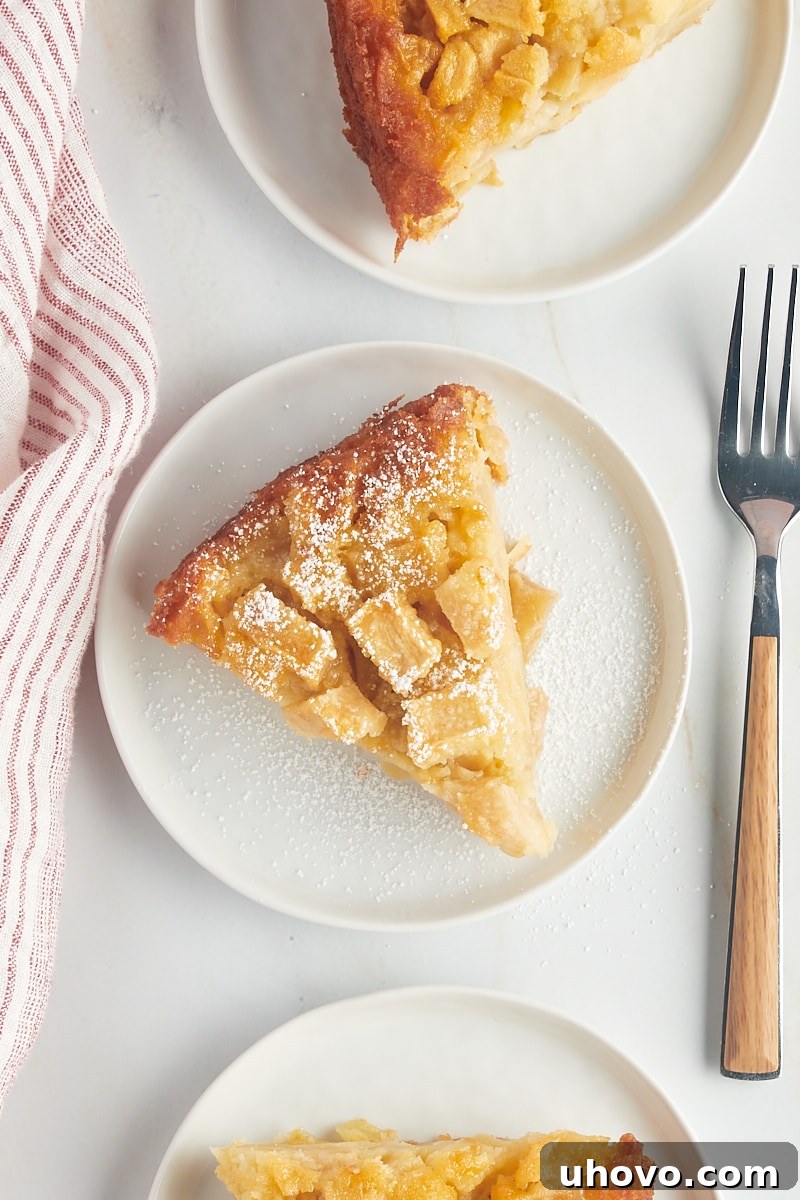 A pristine overhead shot of a single slice of golden French apple cake, delicately dusted with a fine layer of confectioners' sugar, perfectly presented on a white plate.
