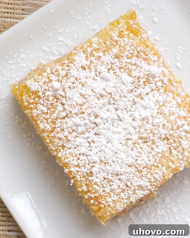 Fresh orange juice and zest take center stage in these sweet and simple Orange Bars! - Bake or Break