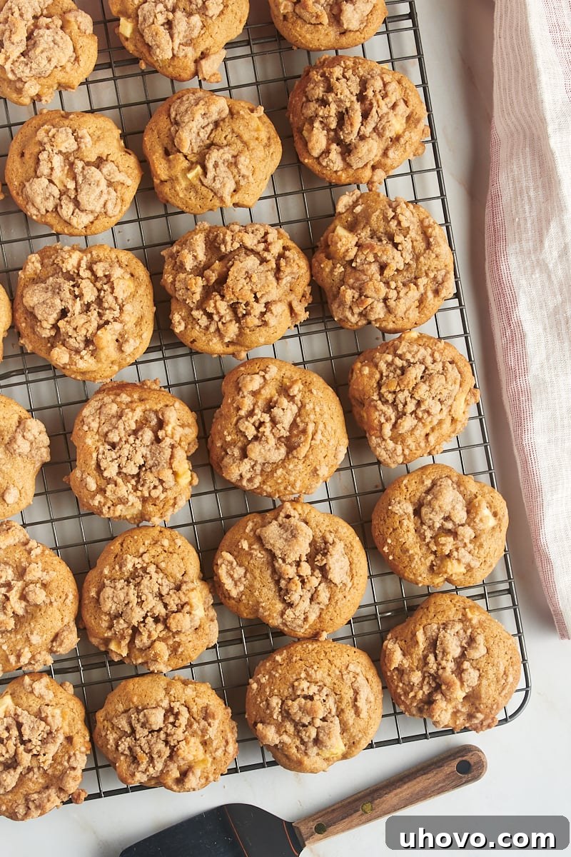 Overhead view of crumb-topped apple cookies on a wire rack.
