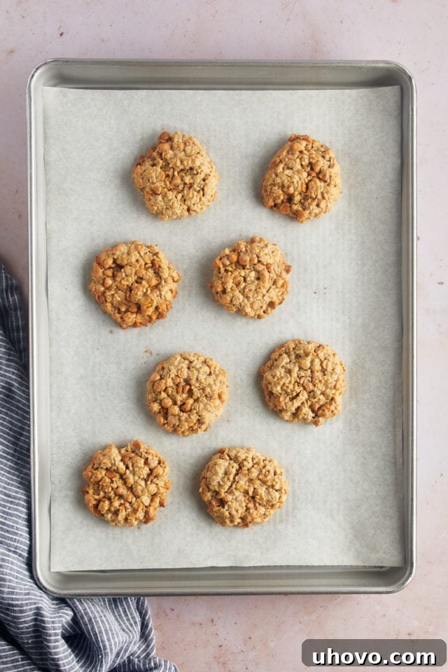 Overhead view of oatmeal butterscotch cookies on parchment-lined sheet pan