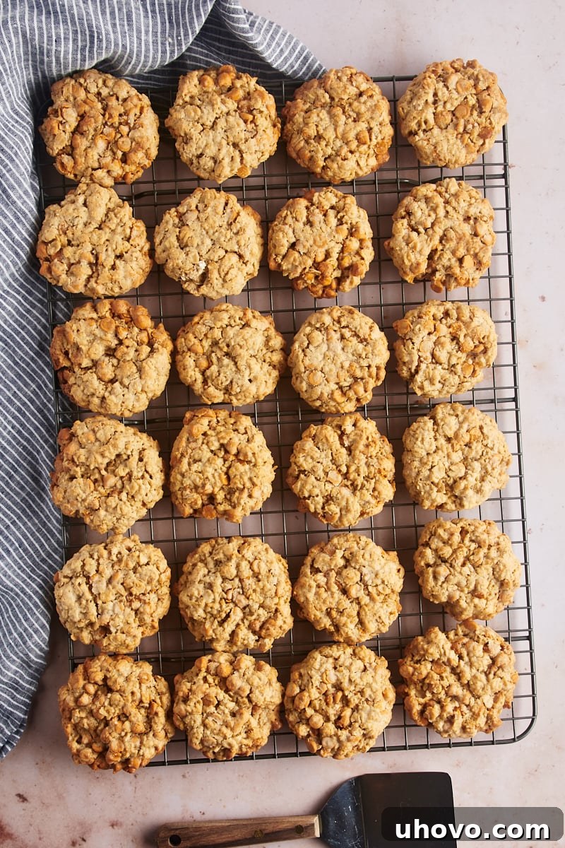 Overhead view of oatmeal butterscotch cookies on wire rack