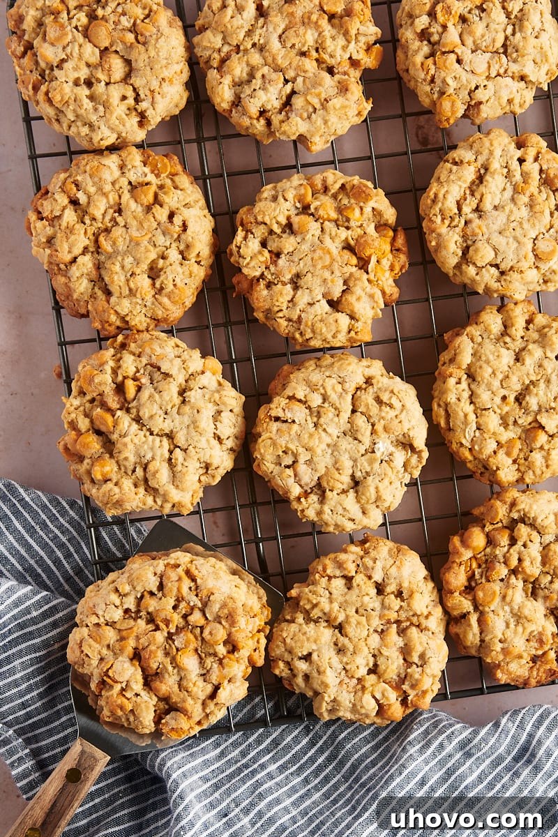 Overhead view of oatmeal butterscotch cookies on wire rack