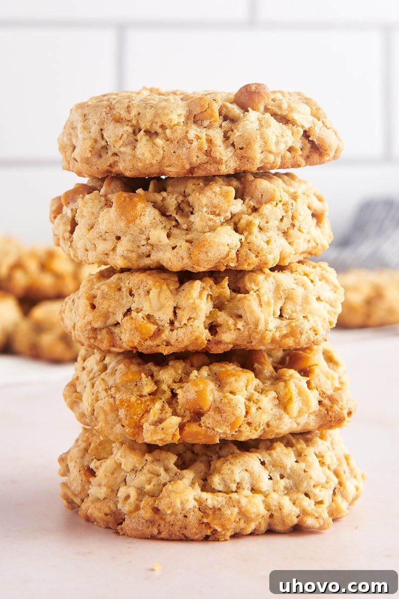 Stack of 5 thick oatmeal butterscotch cookies