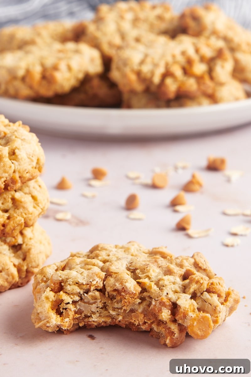 Bite taken out of oatmeal butterscotch cookie, with additional cookies in background