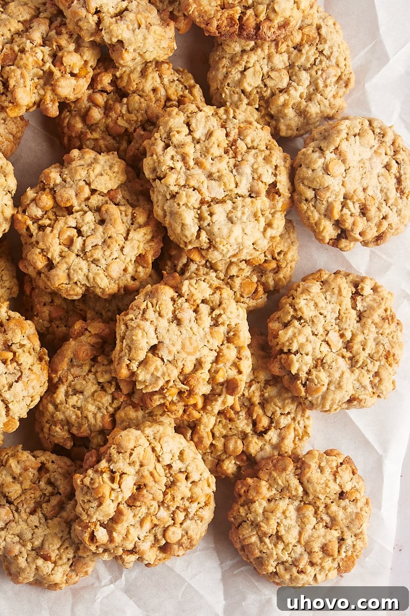 Overhead view of thick, chewy oatmeal butterscotch cookies