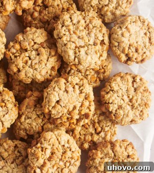 Overhead view of thick, chewy oatmeal butterscotch cookies