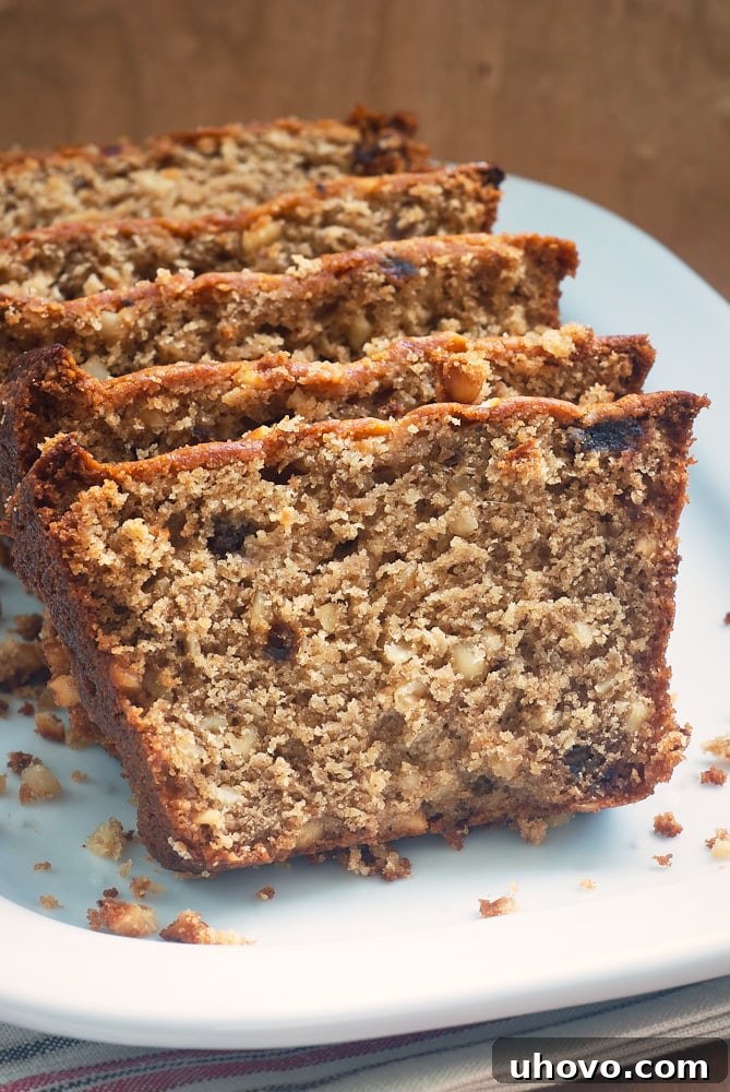 slices of Hazelnut Date Bread on a white plate, showcasing its moist texture and abundant nuts and dates