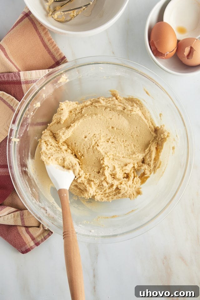 An overhead shot displays the finished snickerdoodle cookie dough in a clear glass mixing bowl, with a rubber spatula resting beside it, ready for scooping.