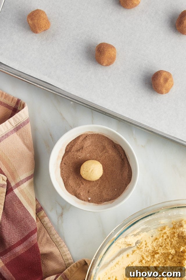 An overhead view of a single ball of snickerdoodle cookie dough being rolled and coated in a bowl of cinnamon sugar, ensuring full coverage.