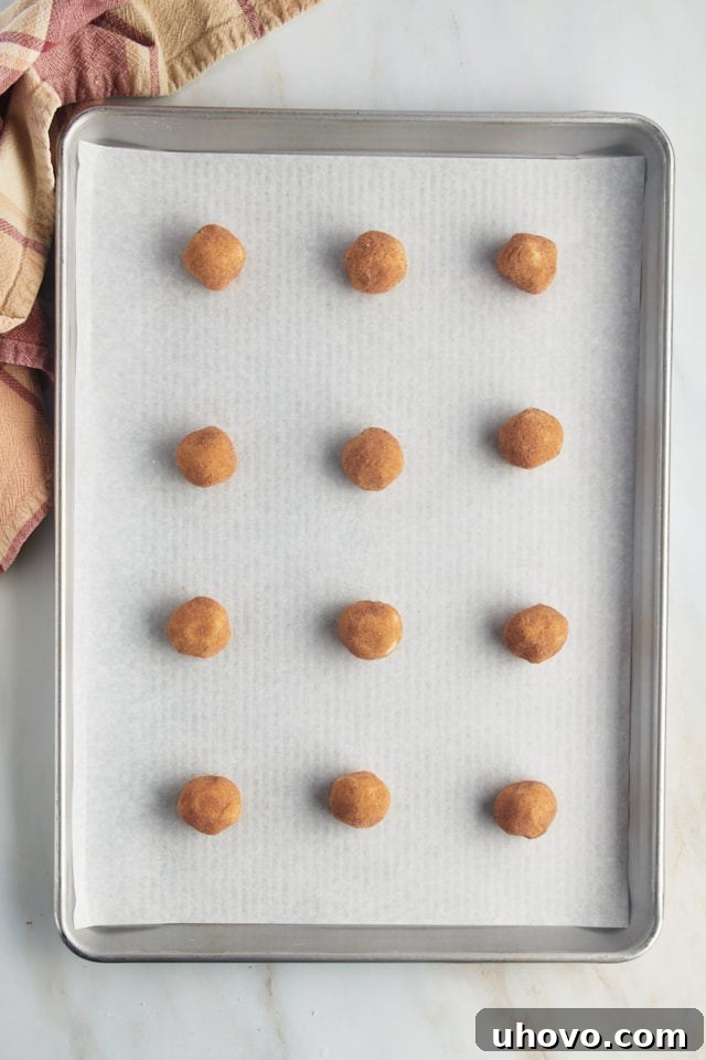 An overhead shot of numerous snickerdoodle dough balls, perfectly coated in cinnamon sugar, neatly arranged on a parchment-lined baking sheet, ready for the oven.