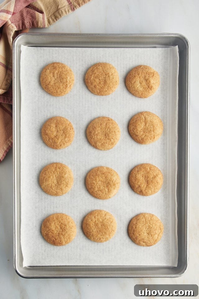 An overhead shot of freshly baked snickerdoodles, puffed and perfectly golden with crackled cinnamon-sugar tops, cooling on a parchment-lined baking sheet.
