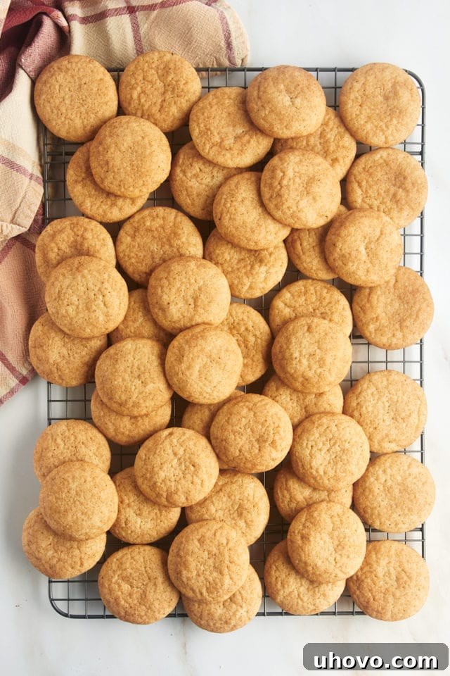 An inviting overhead view of a fresh batch of snickerdoodles piled artfully onto a wire rack, allowing air circulation for even cooling, with a few extra cookies on the side.