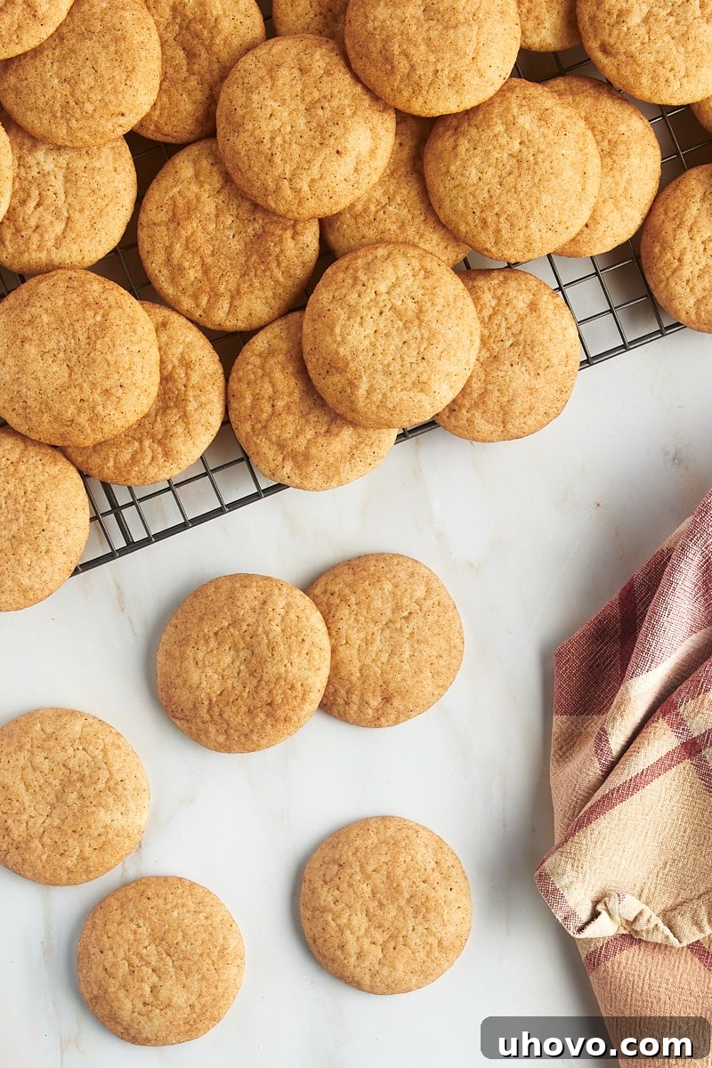 An inviting overhead view of freshly baked snickerdoodles artfully arranged on a wire rack, with some additional cookies scattered on a clean countertop, highlighting their perfect golden finish.