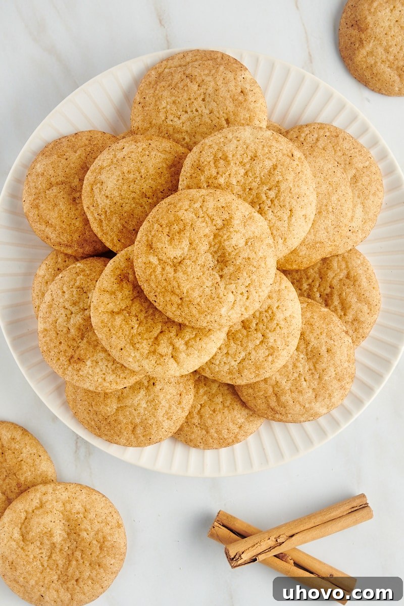 A beautiful overhead close-up shot of a generous pile of classic snickerdoodles on a white plate, showcasing their inviting golden color and cinnamon-sugar coating.