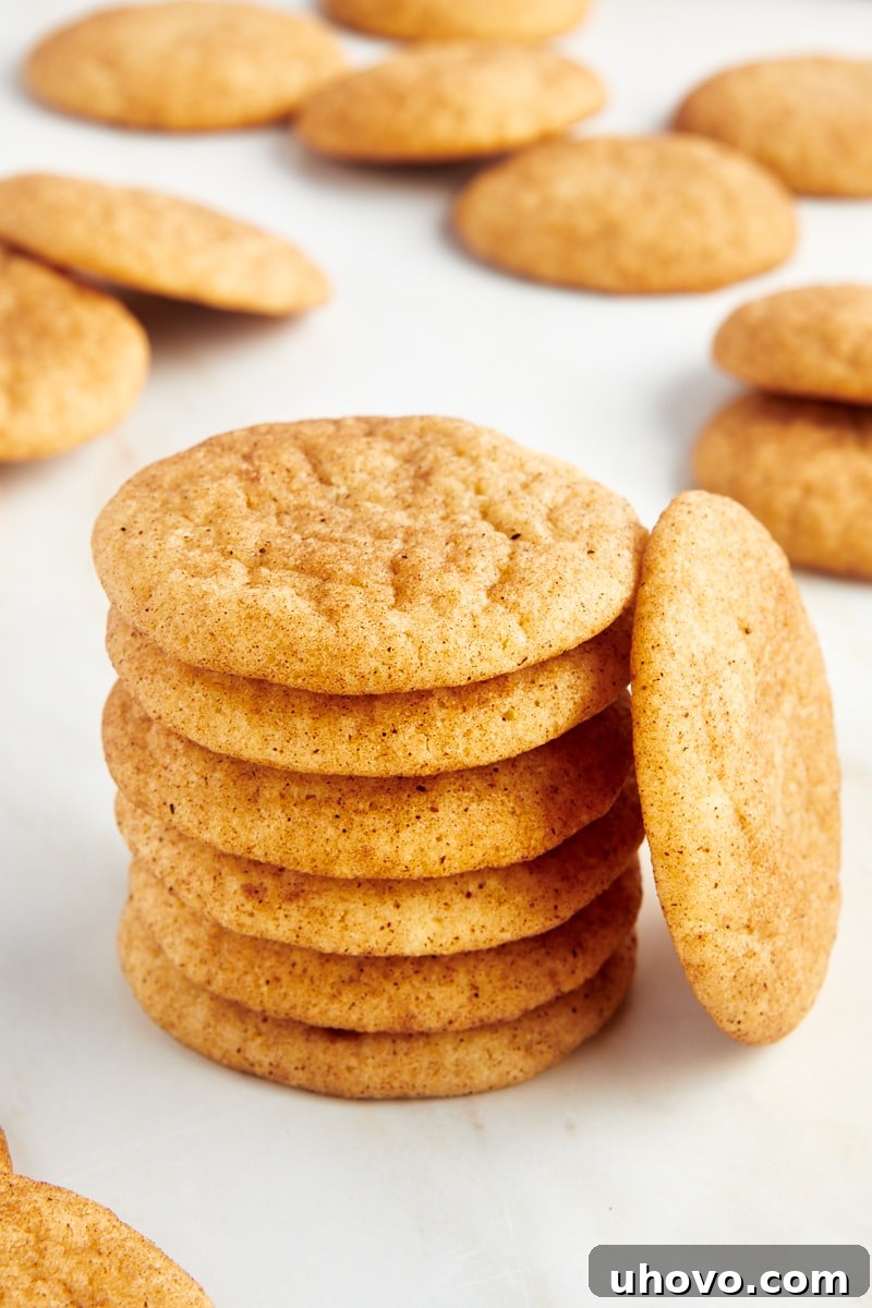 A perfectly composed shot of a tall stack of golden snickerdoodle cookies, with one cookie leaning invitingly beside the stack, showcasing their soft texture and cinnamon coating.