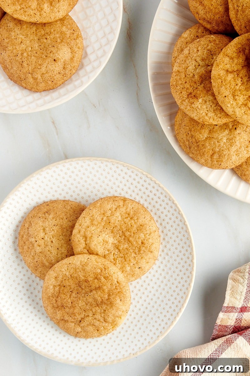 An inviting overhead shot showcasing a delightful arrangement of golden-brown snickerdoodle cookies on three separate plates, each perfectly coated in cinnamon sugar.