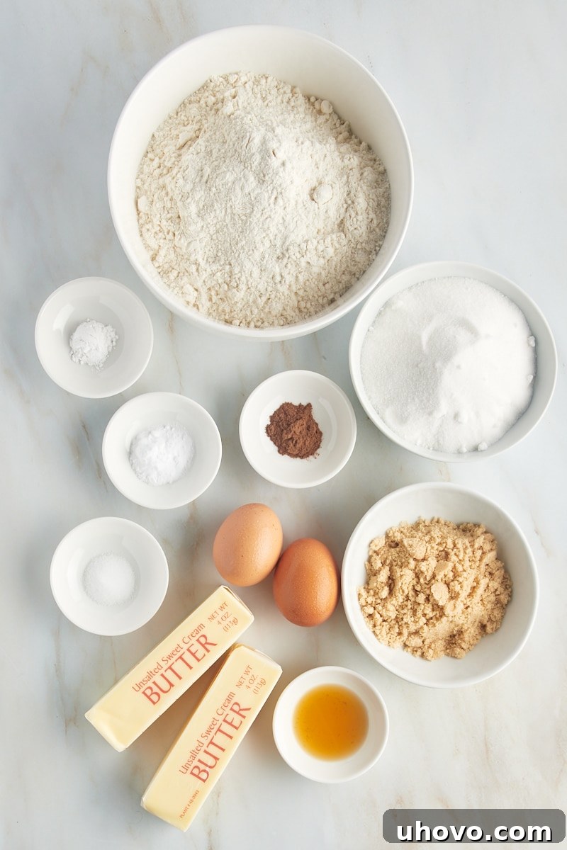 A neatly arranged collection of ingredients for snickerdoodles, including flour, sugars, butter, eggs, and cinnamon, ready for baking.