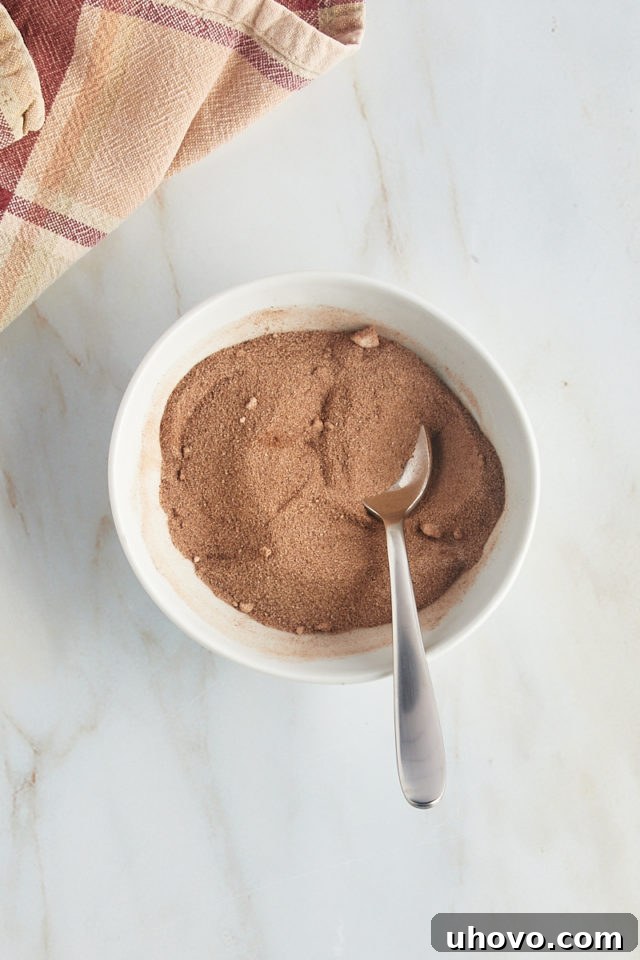 An overhead view of a small, shallow bowl filled with the cinnamon-sugar mixture, ready for coating the cookie dough, with a spoon resting inside.