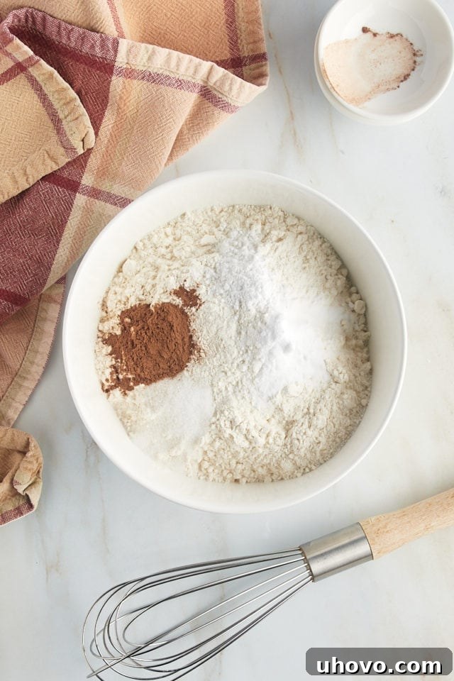 A close-up, overhead view of the dry ingredients for snickerdoodles—flour, baking soda, cinnamon, cream of tartar, and salt—placed in a mixing bowl before being whisked together.