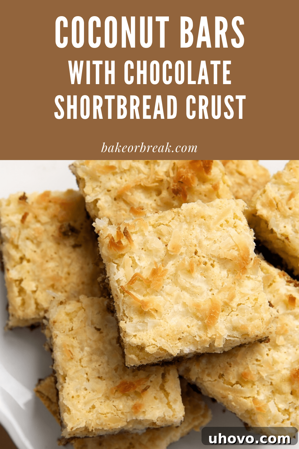 Close-up of a Coconut Bar with Chocolate Shortbread Crust, showcasing the intricate layers and the beautifully toasted golden-brown coconut topping, ready to be enjoyed.
