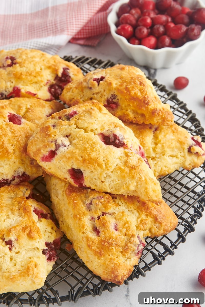 cranberry orange scones piled on a wire rack with a bowl of cranberries in the background