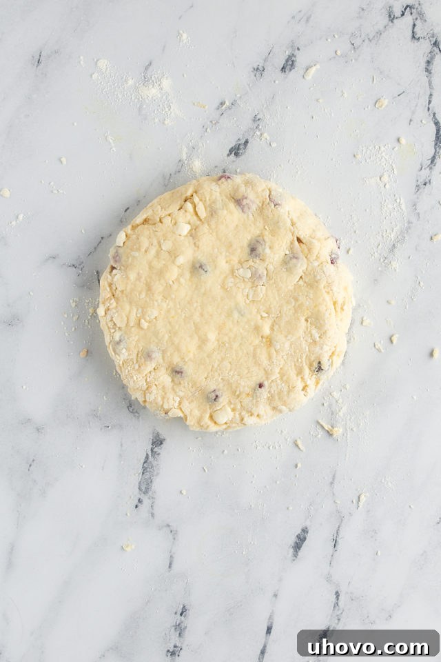 overhead view of cranberry orange scone dough on a marble surface