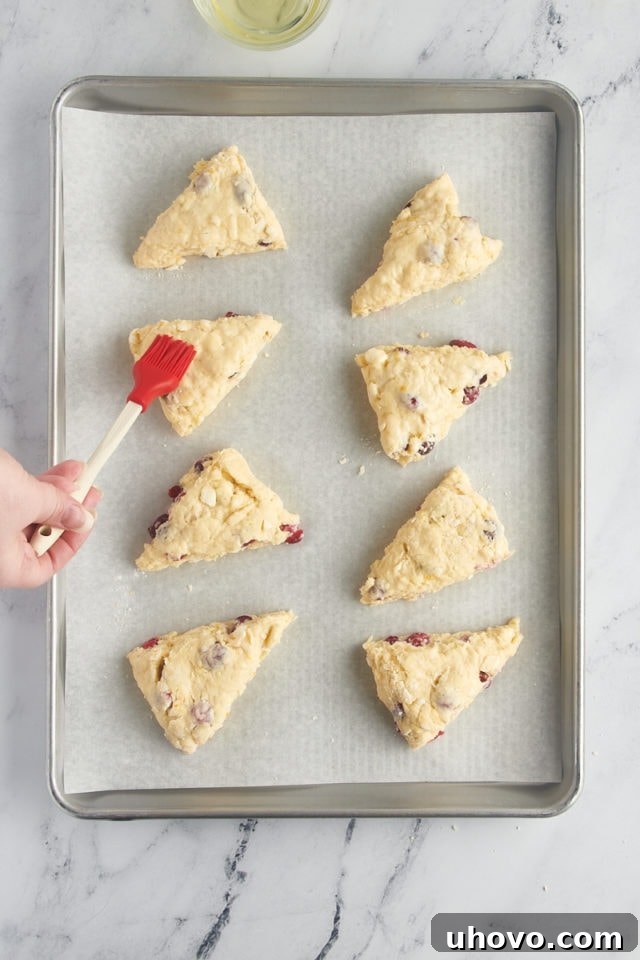 overhead view of cranberry orange scones being brushed with egg white