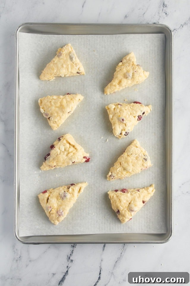 overhead view of cranberry orange scones on a parchment-lined baking pan ready to go into the oven