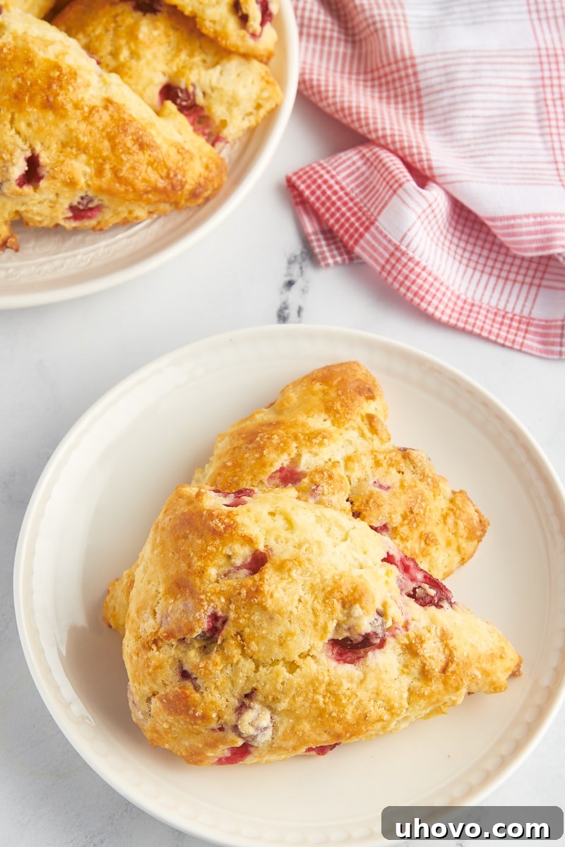 two cranberry orange scones on a plate with more scones on a large plate alongside