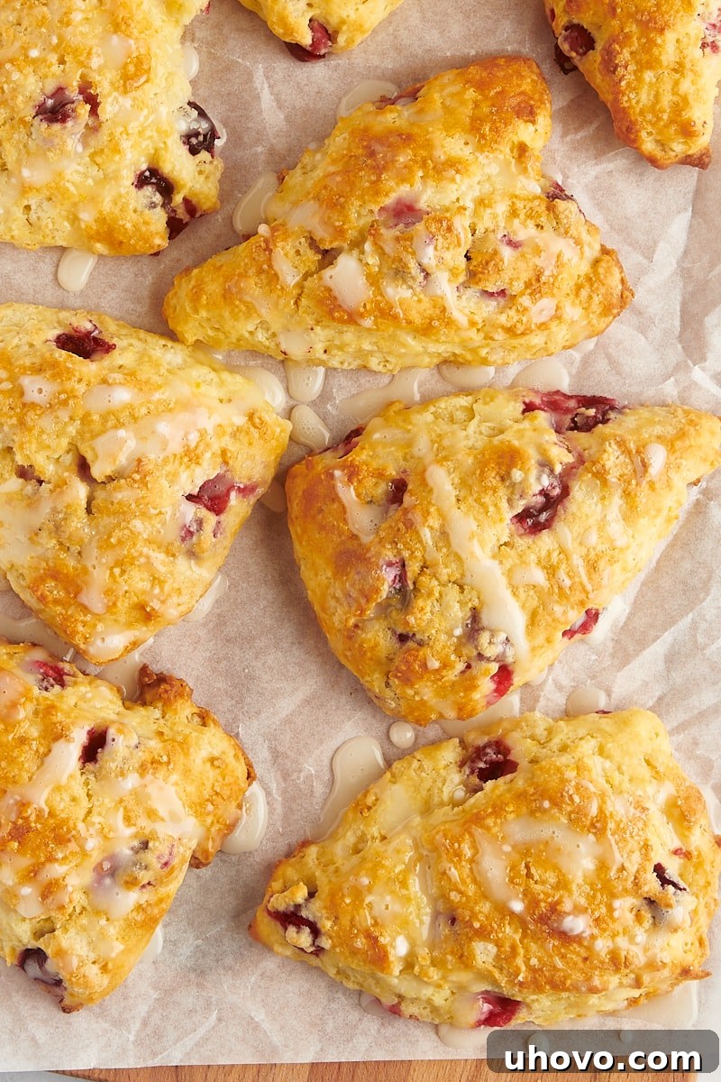 overhead view of glazed cranberry orange scones on parchment paper
