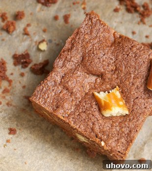 Peanut Butter-Pretzel Brownies
