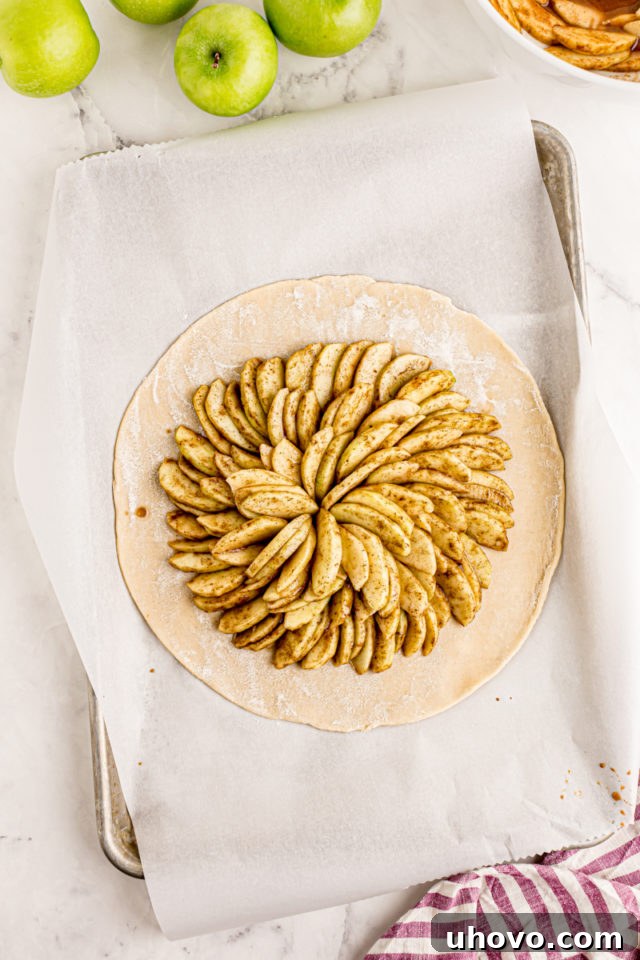 overhead view of apple galette filling arranged on pie crust on a lined baking sheet